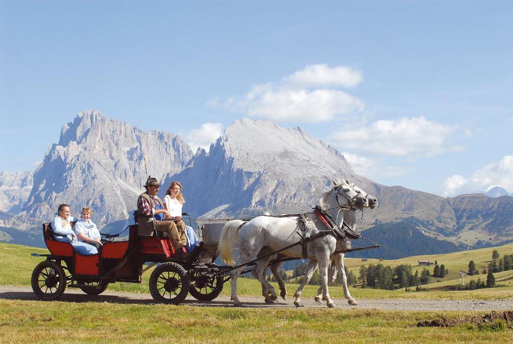 Piccolo Sciliar Hotel Alpe Di Siusi